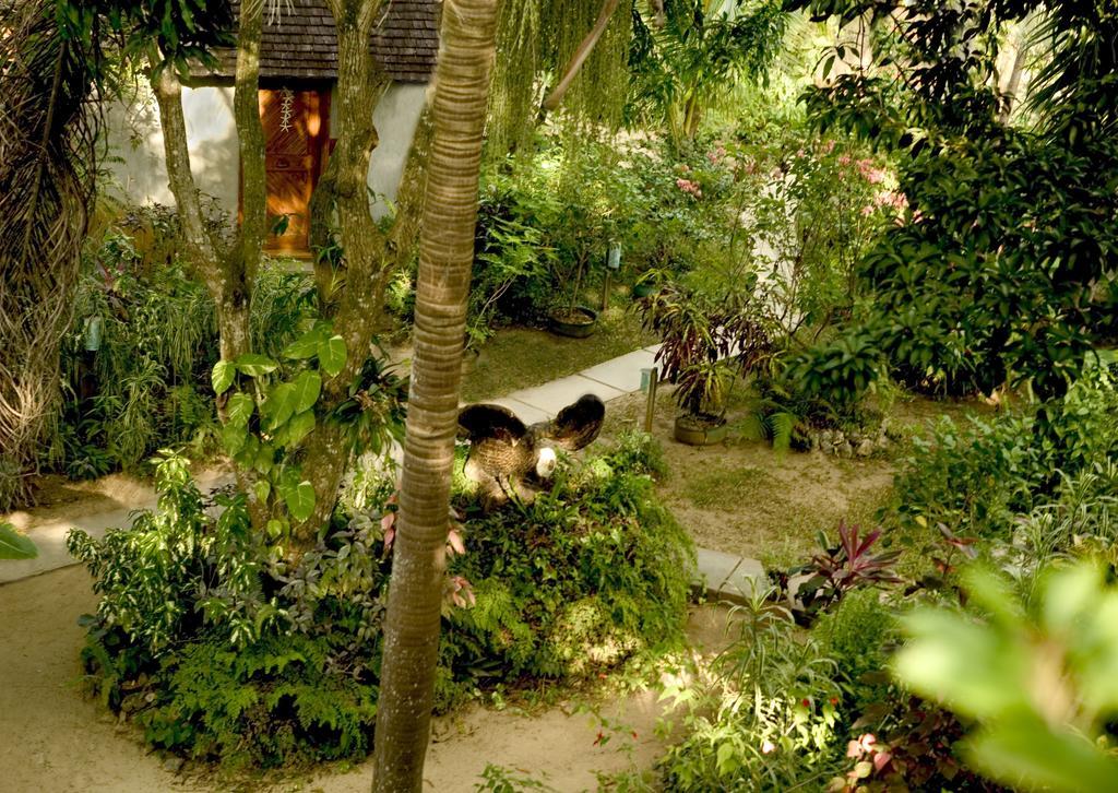 Whistling Bird Otel Negril Dış mekan fotoğraf