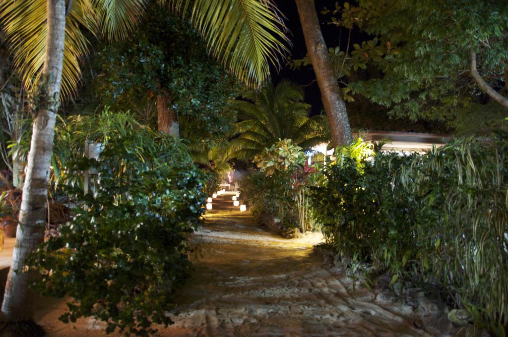 Whistling Bird Otel Negril Dış mekan fotoğraf